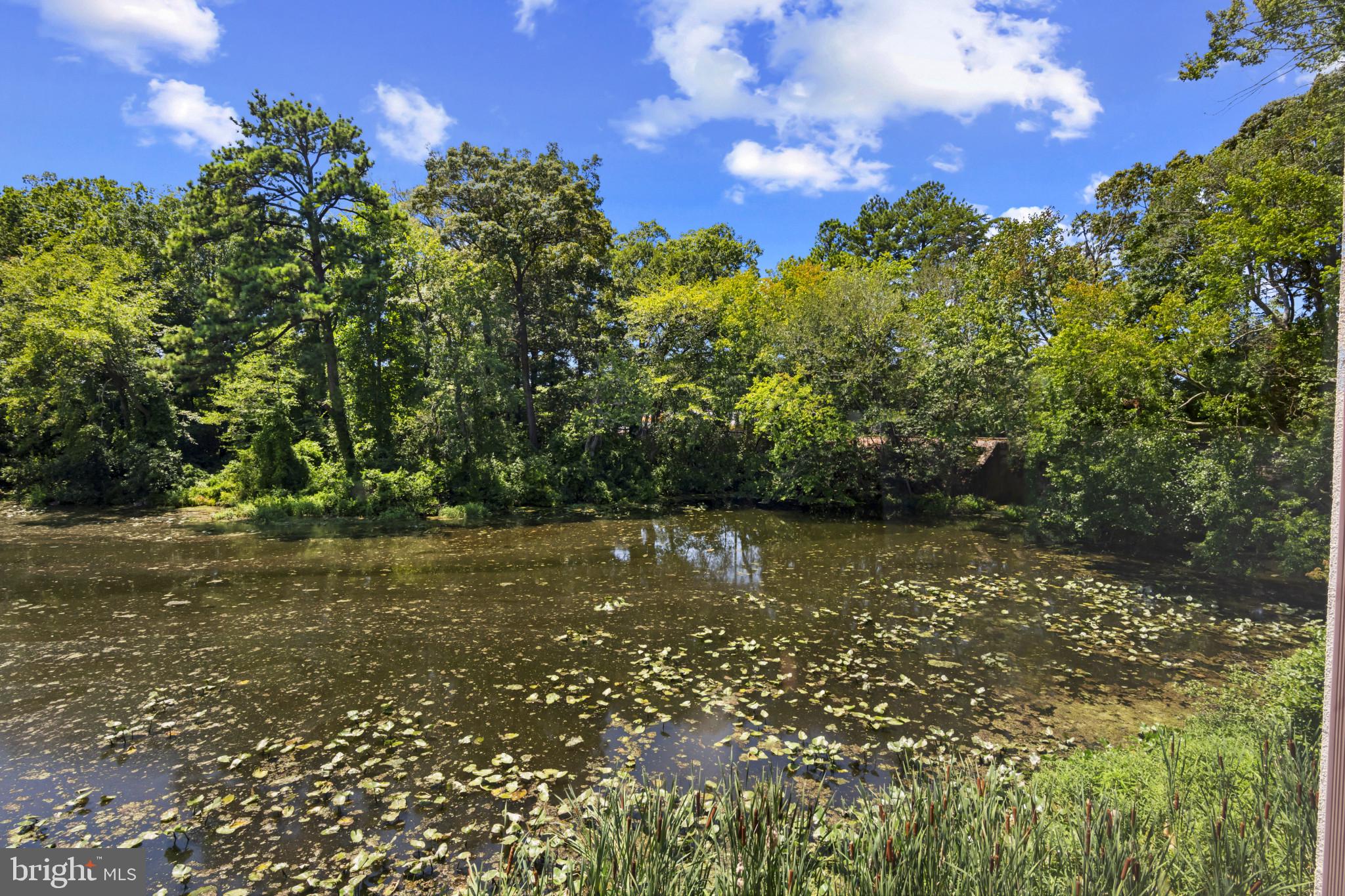 228 CANAL PARK DRIVE G-106