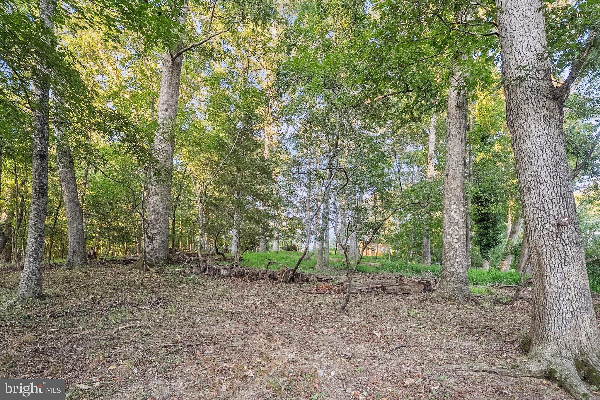 NORTH SPRINGBROOK - Residential