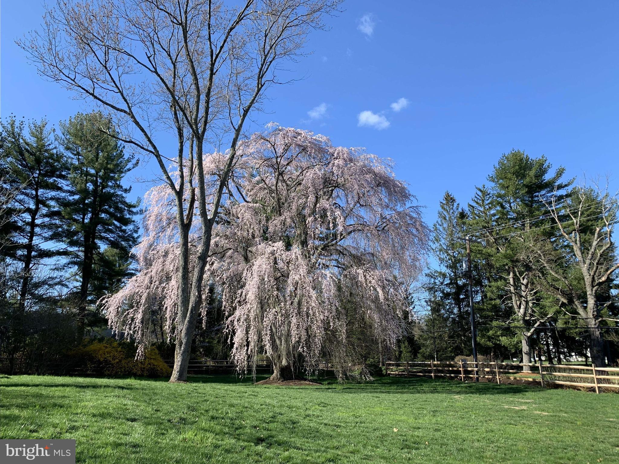 LEOPARD LAKES - Residential