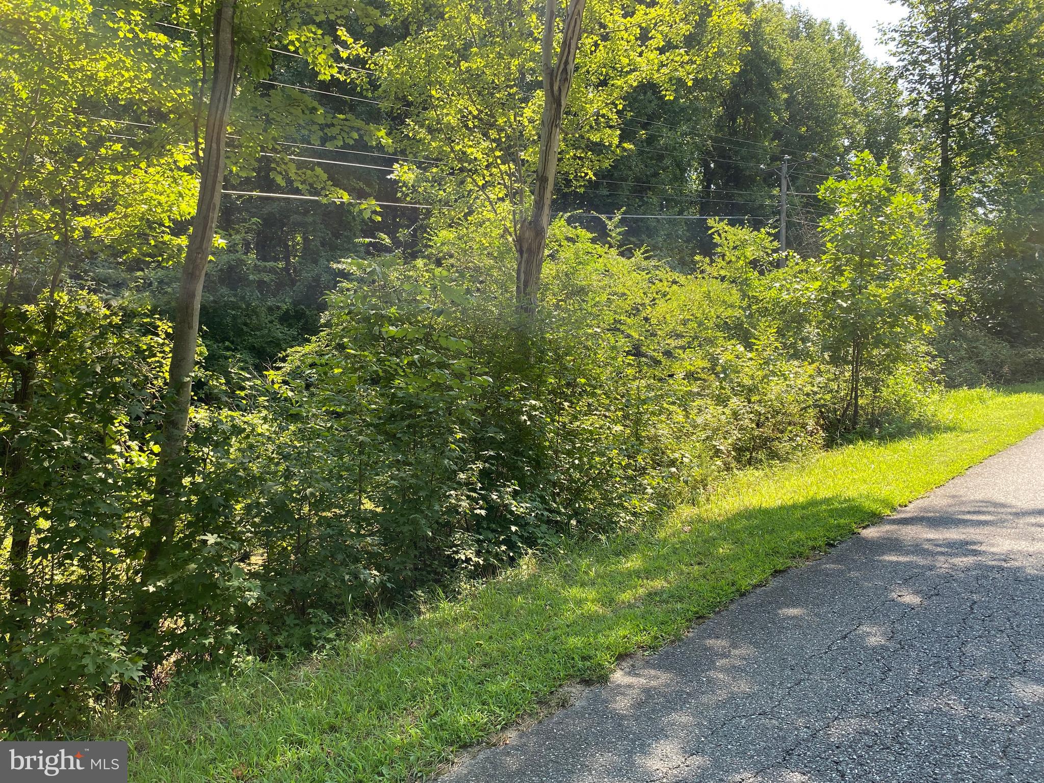 NONE AVAILABLE - Land