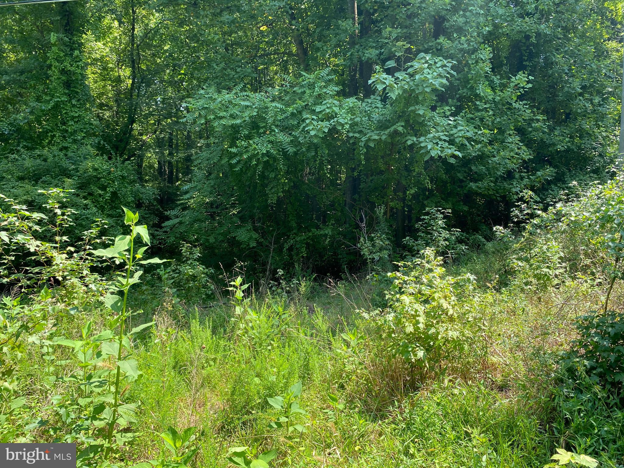 NONE AVAILABLE - Land