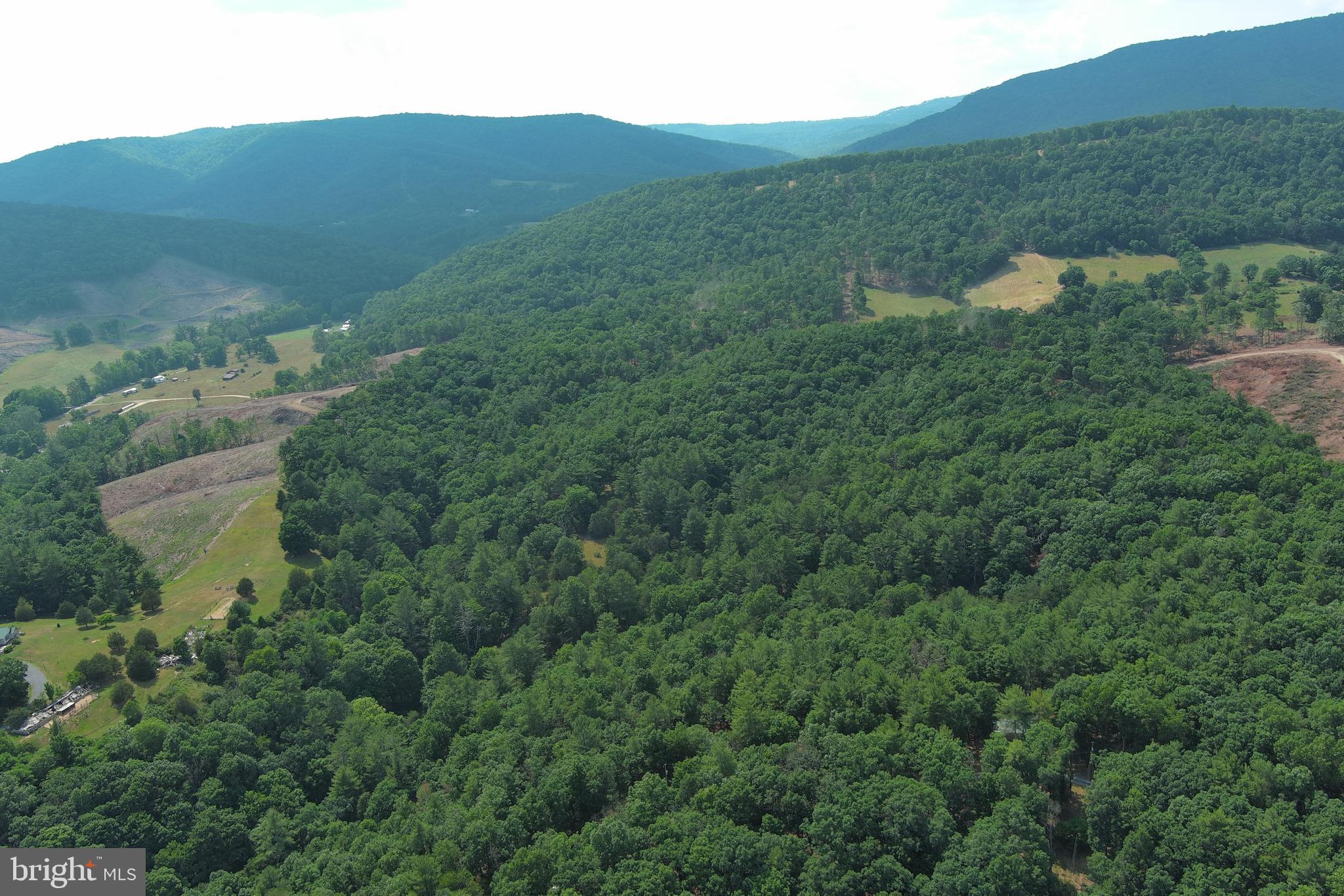 CABIN AT LOST RIVER - Residential