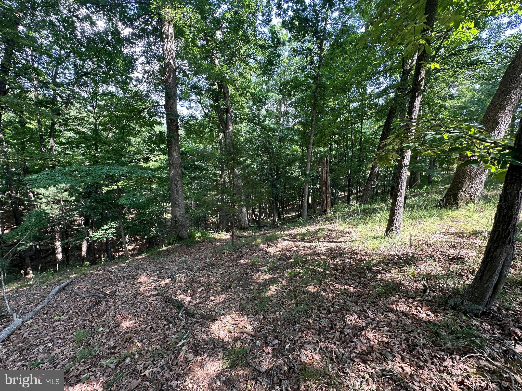 CABIN AT LOST RIVER - Residential