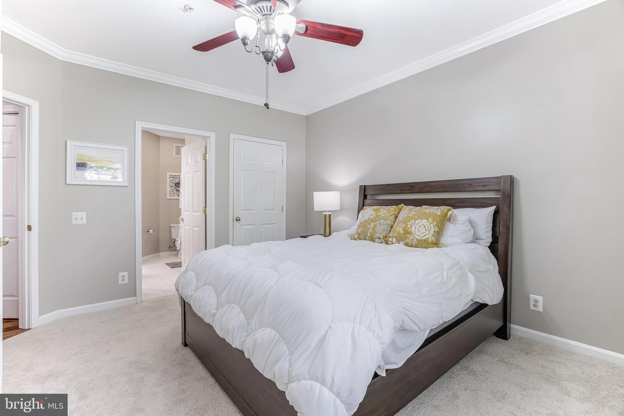 CEDAR LAKES - Residential