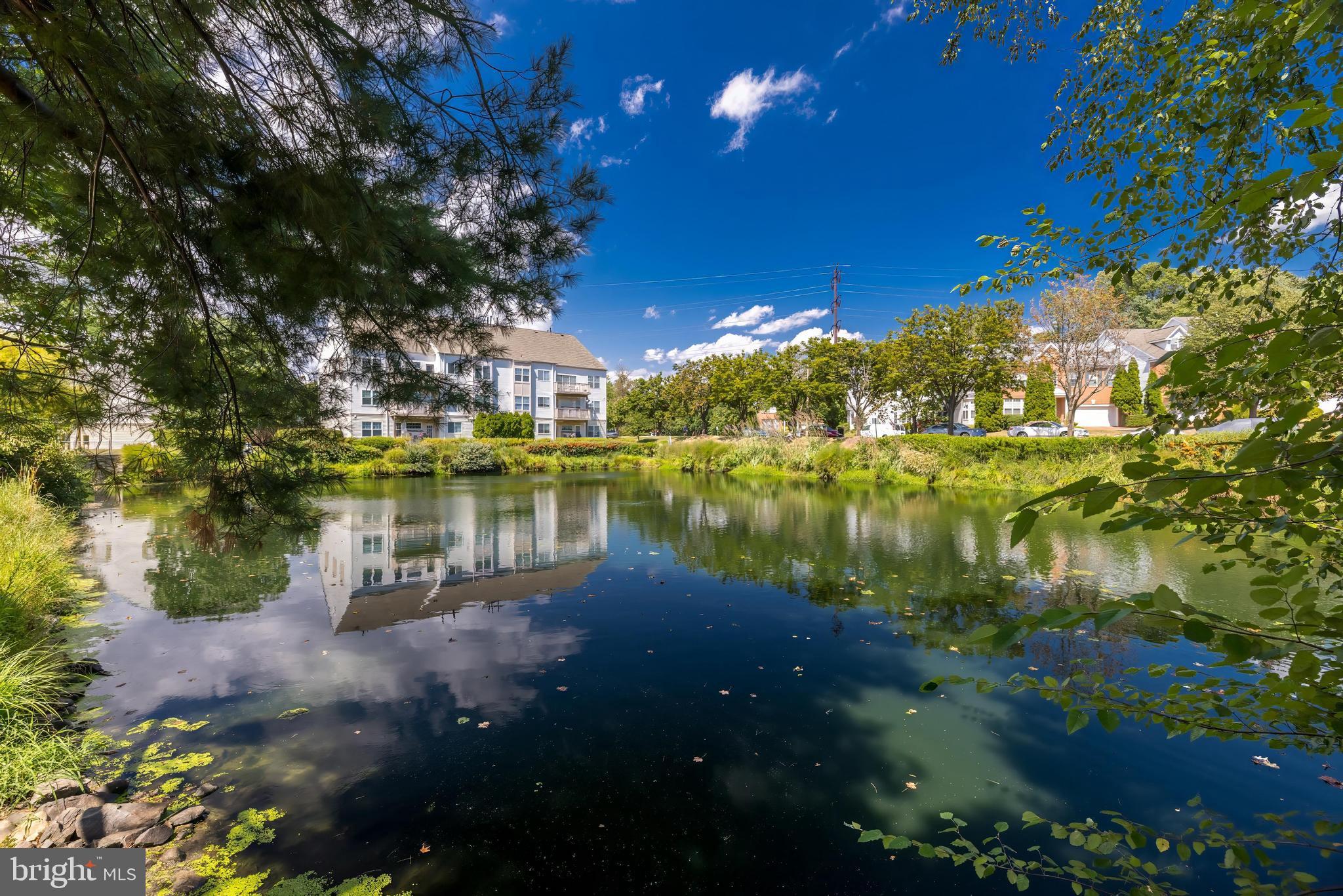 CEDAR LAKES - Residential