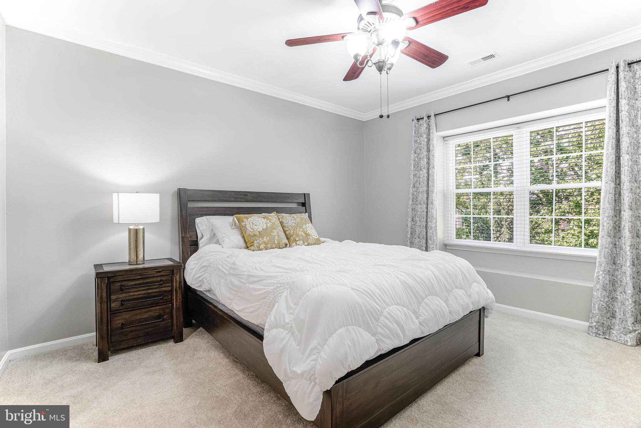 CEDAR LAKES - Residential