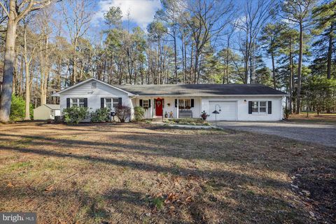 24899 WOODS DRIVE DENTON MD 21629