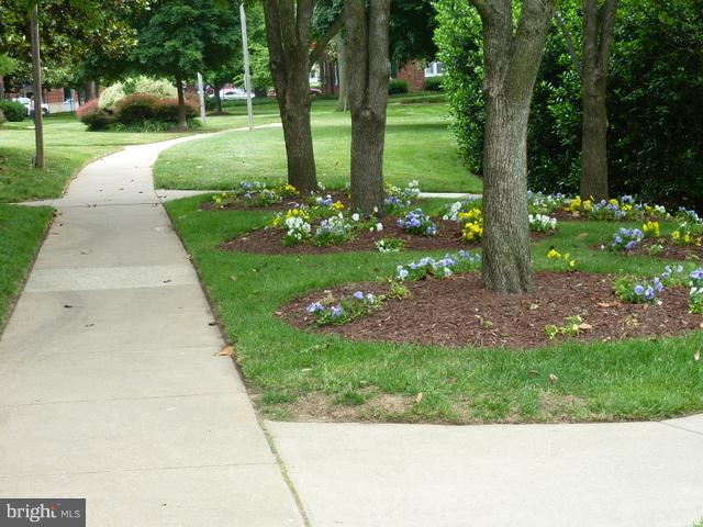 COLONIAL VILLAGE - Residential Lease