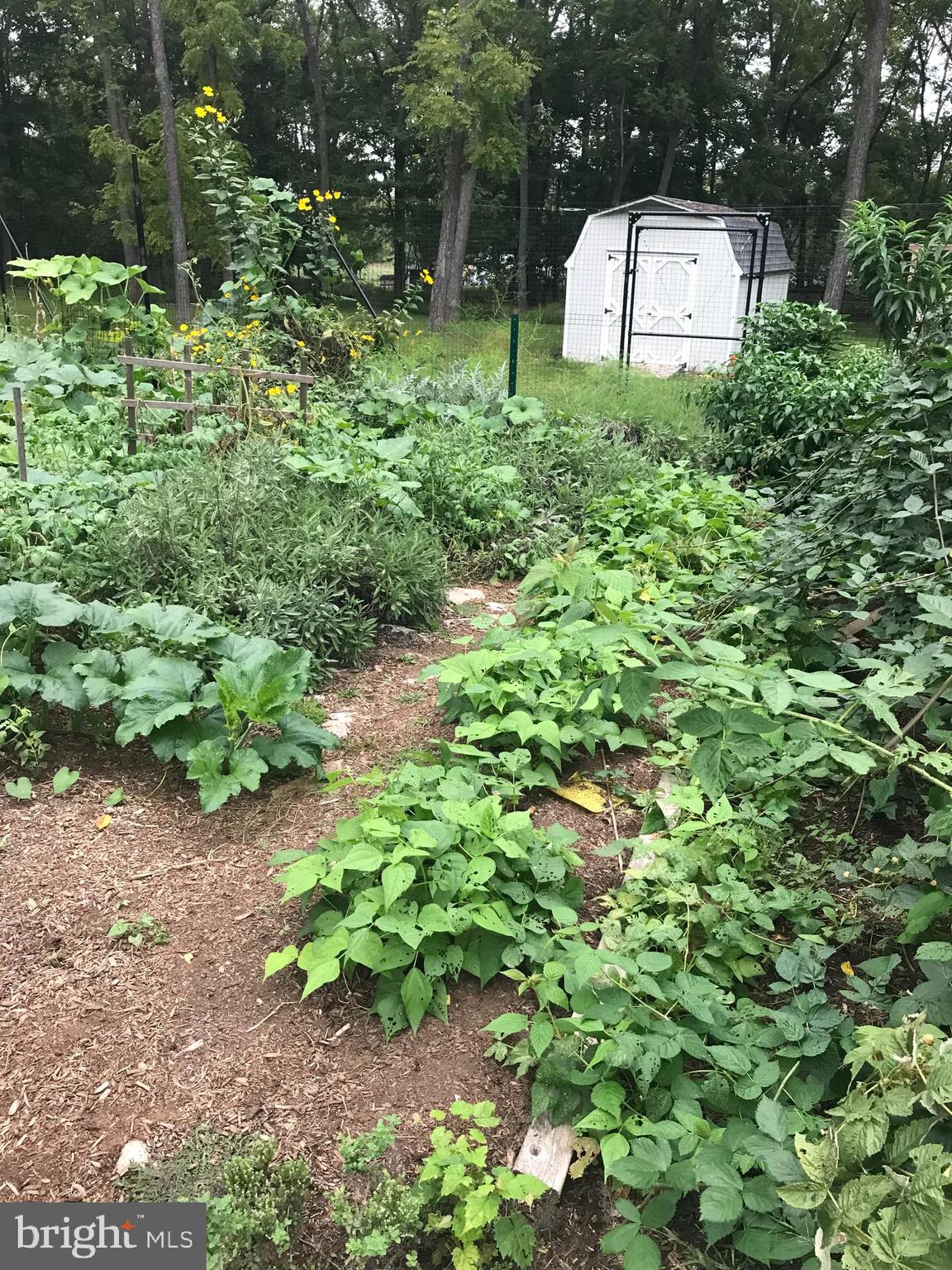 HIGHLAND MEADOWS - Residential