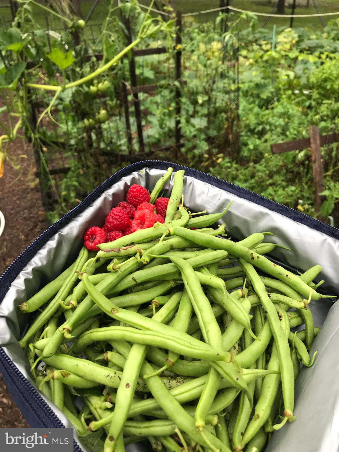 HIGHLAND MEADOWS - Residential