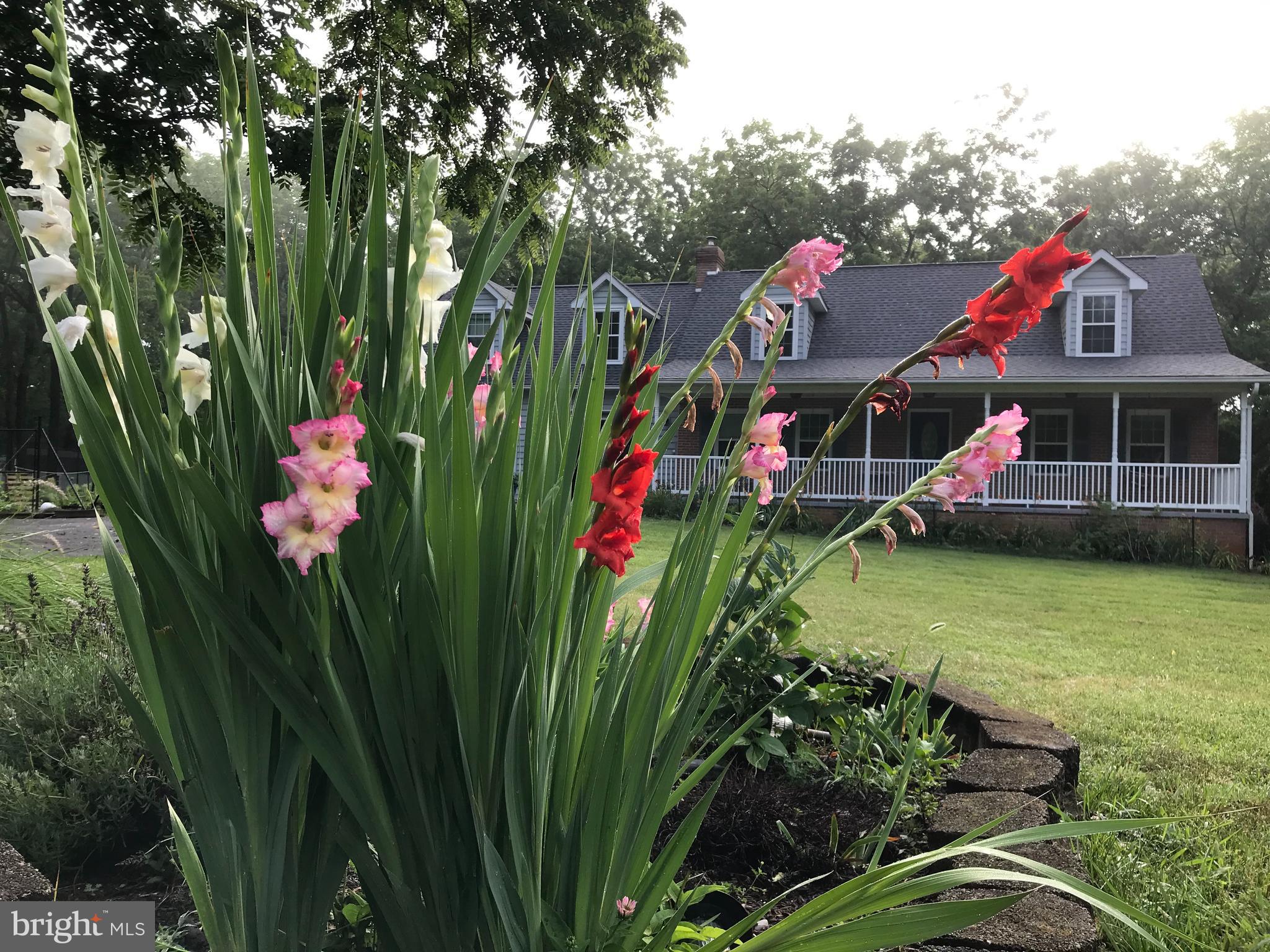 HIGHLAND MEADOWS - Residential