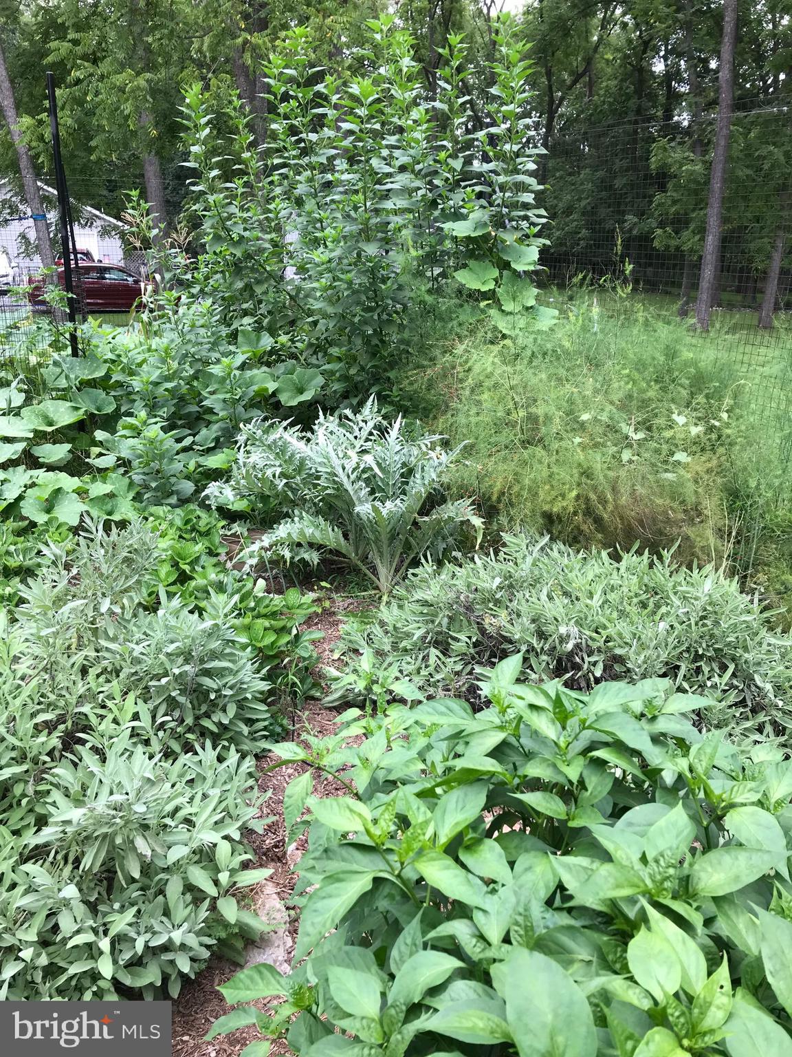 HIGHLAND MEADOWS - Residential