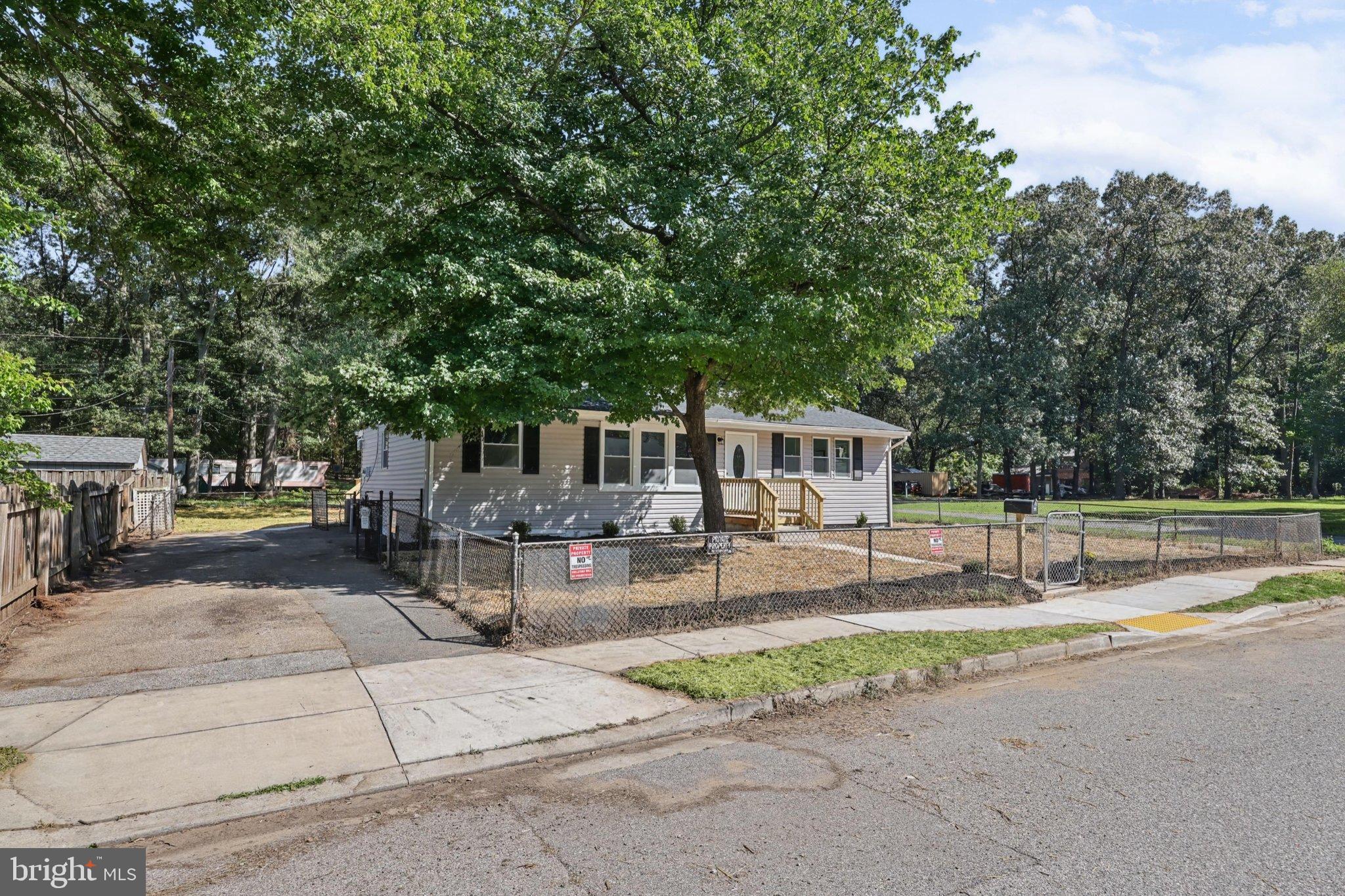 15 PENNY LANE