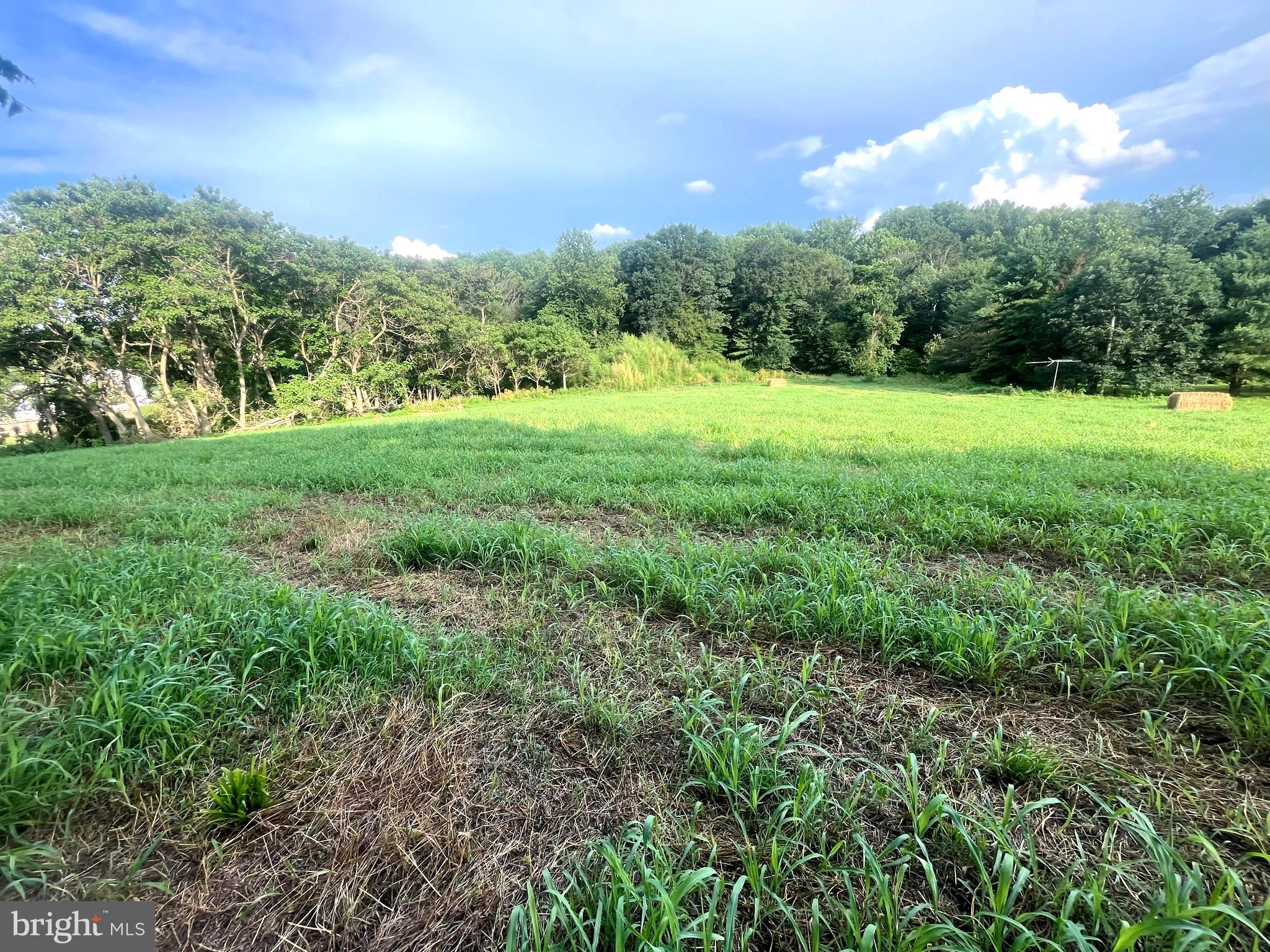 117 CHANDLER MILL ROAD