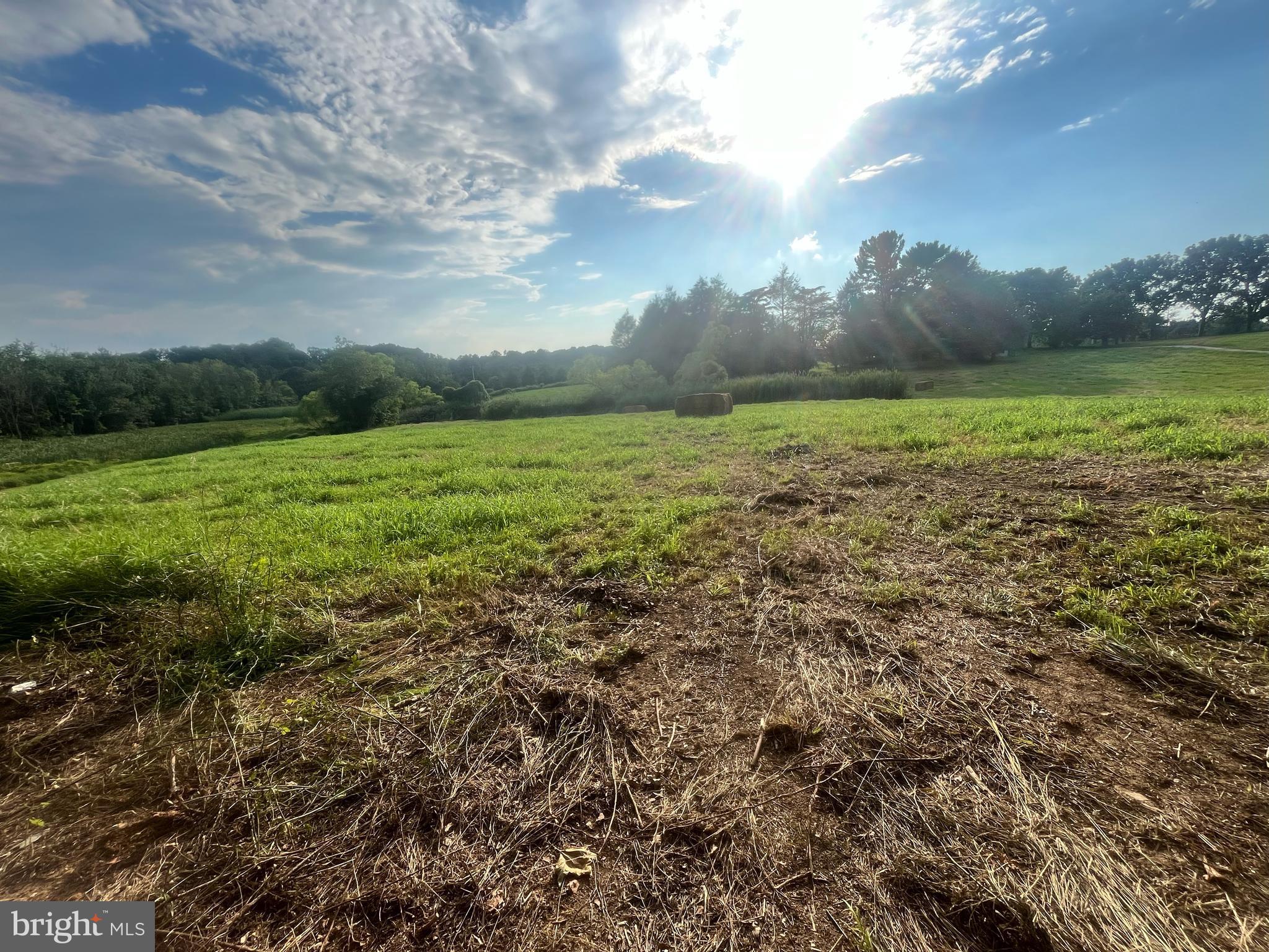 117 CHANDLER MILL ROAD