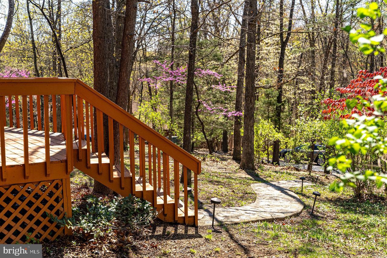 MASSANUTTEN - Residential