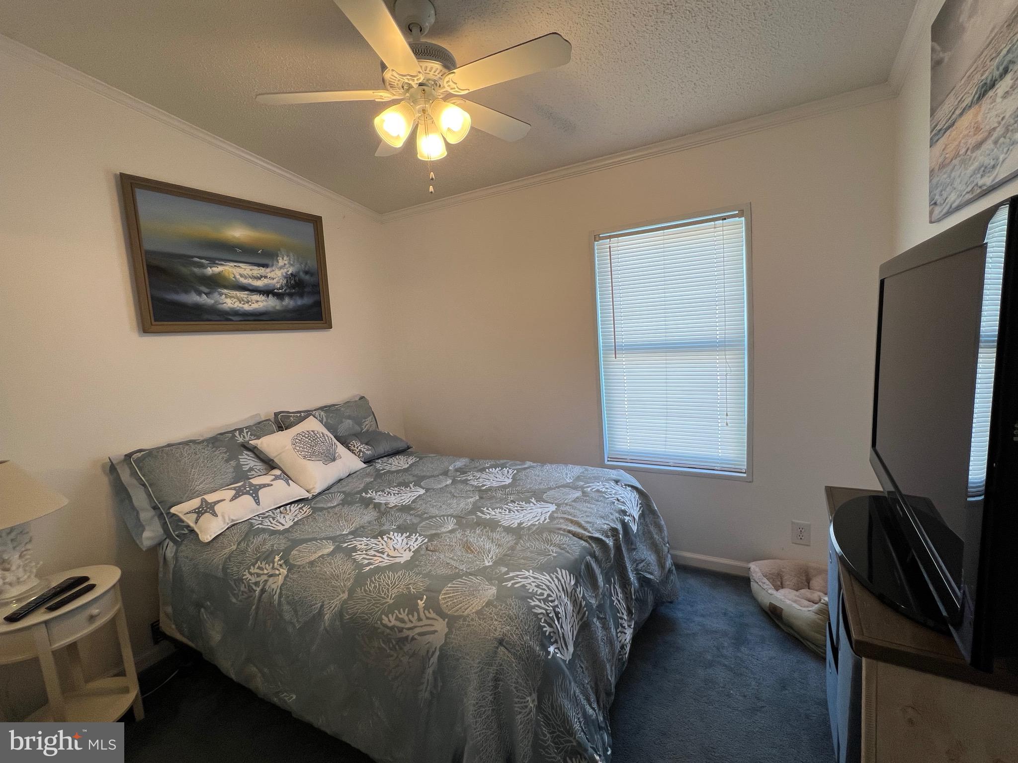 ASSATEAGUE PT RESORT - Residential