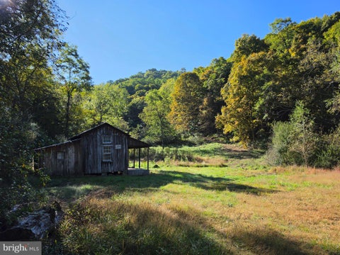 Vacant Land For Sale - LOTS 5 & 6 Proctor Road<br/> Hampshire County, PURGITSVILLE, WV 26852