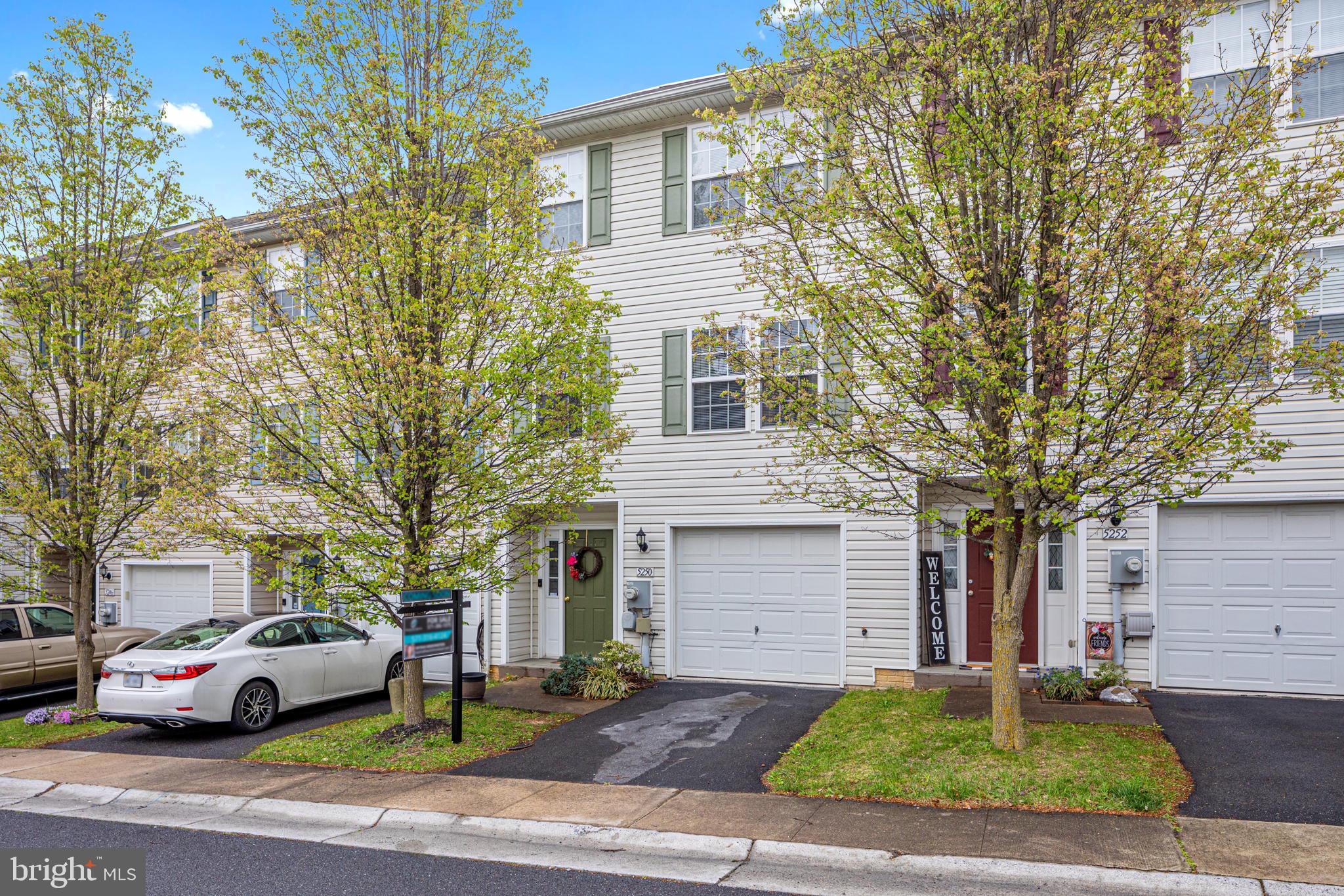 MULBERRY TERRACE - Residential