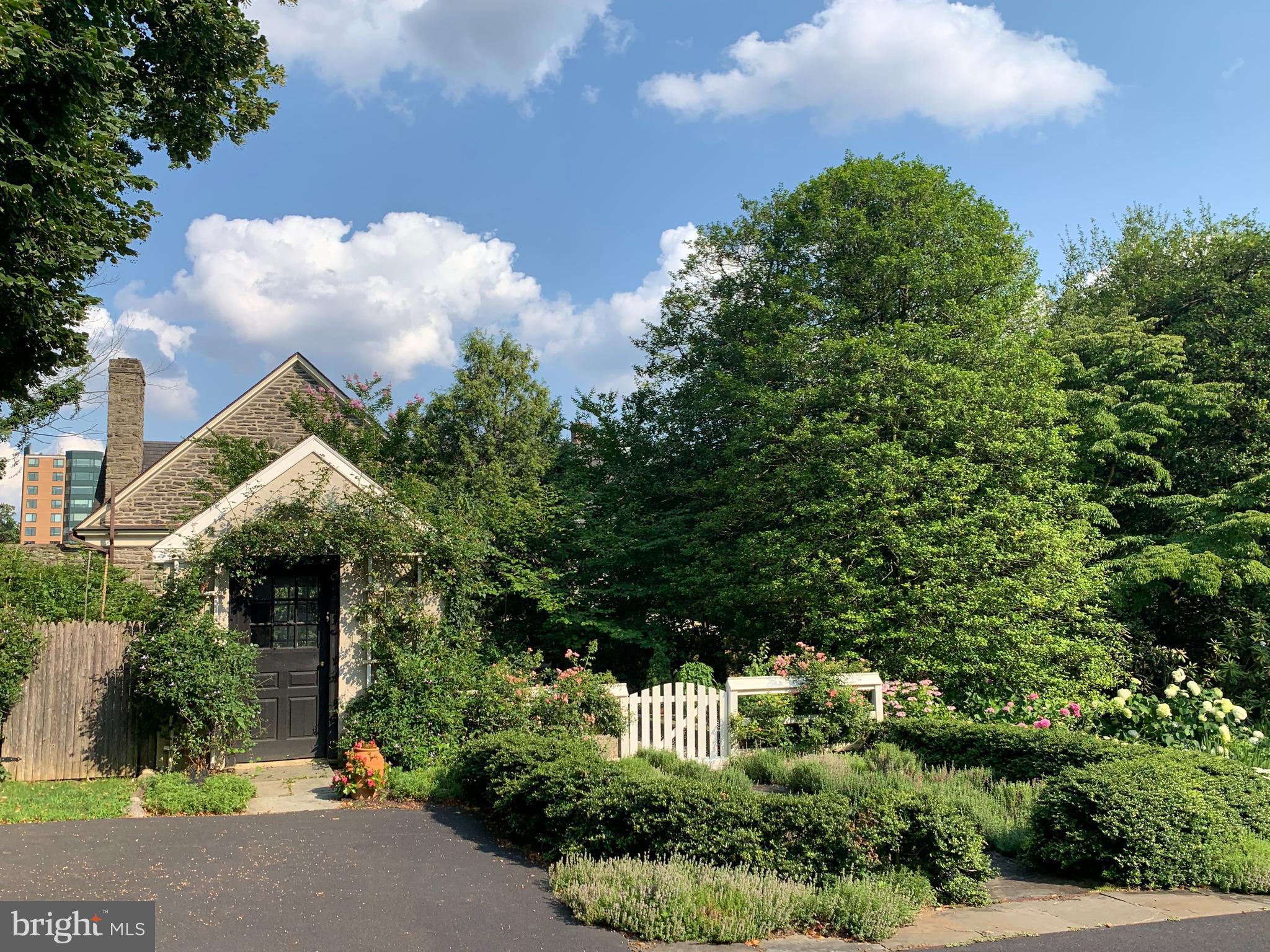 CHESTNUT HILL - Residential