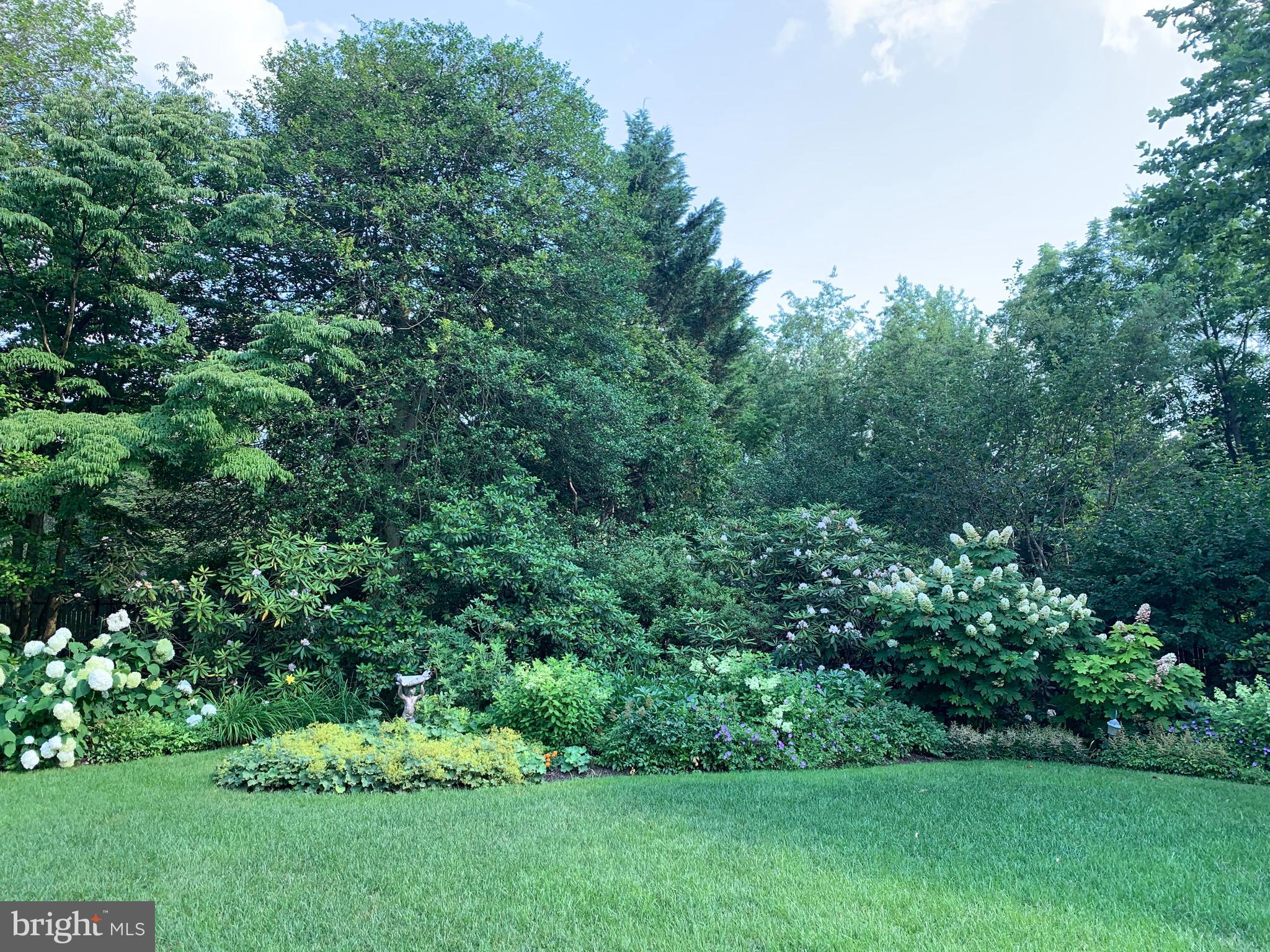 CHESTNUT HILL - Residential