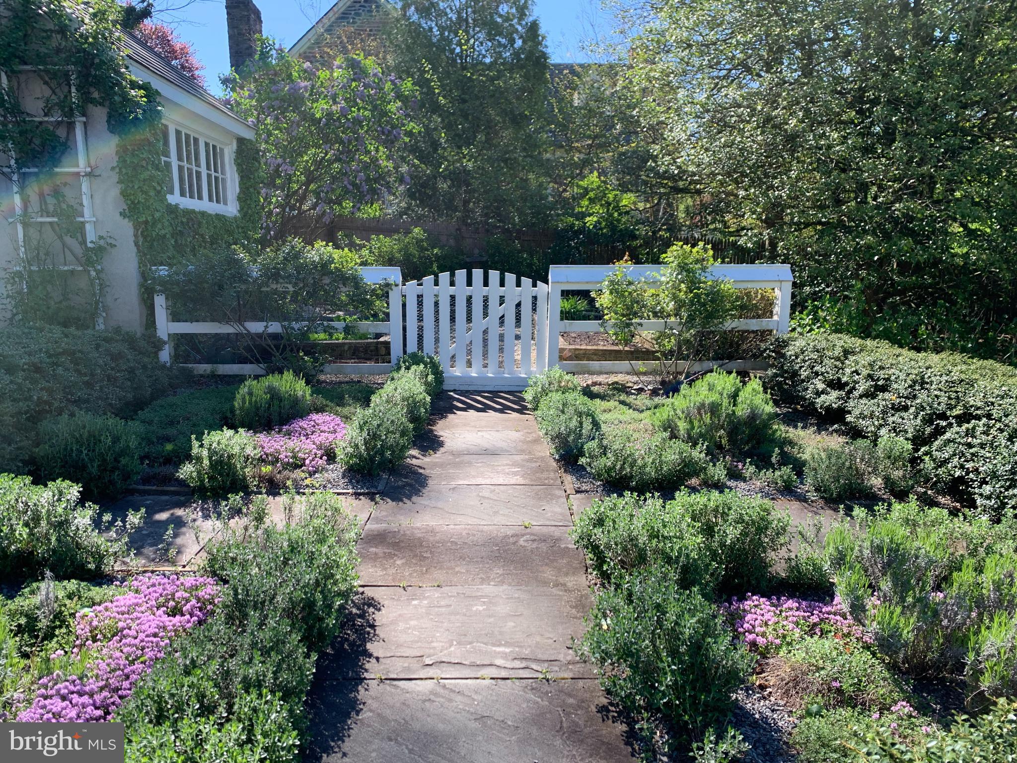 CHESTNUT HILL - Residential