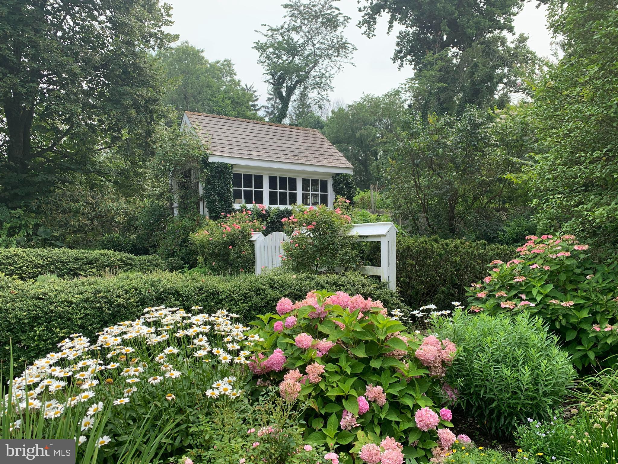 CHESTNUT HILL - Residential