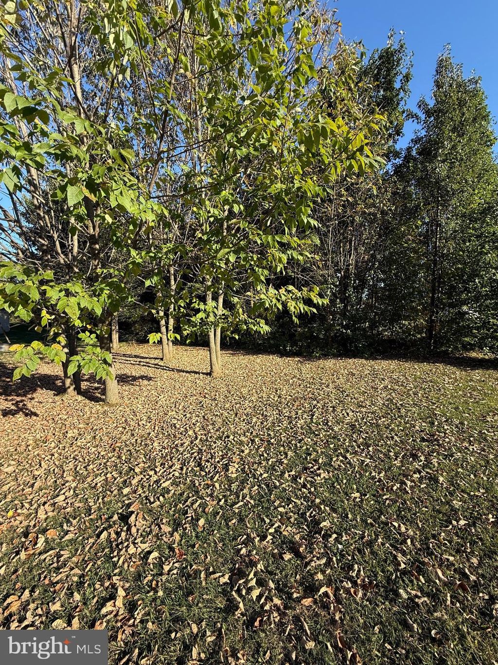 Photo of 0 Molly Pitcher Highway, GREENCASTLE, PA 17225 (MLS # PAFL2030380)
