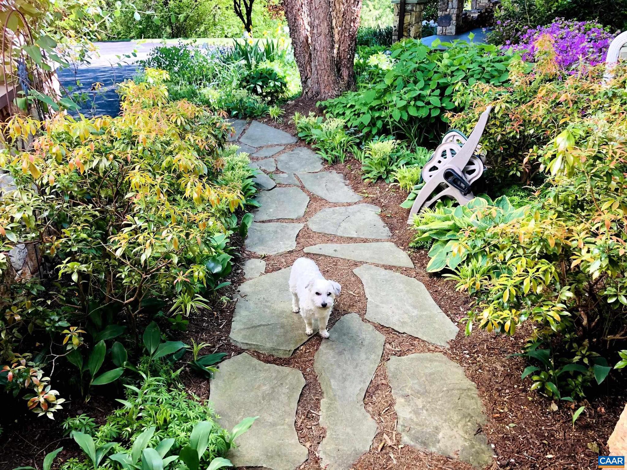 THE ROCKS - Residential