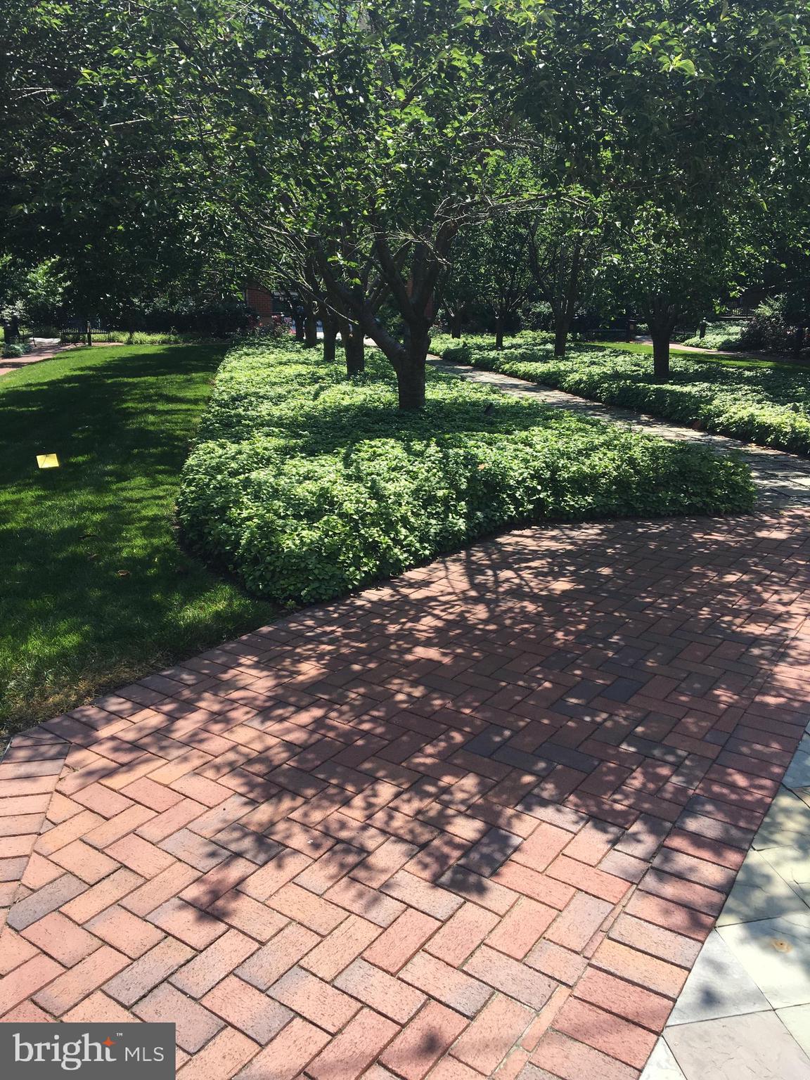 CONDOS AT CARLYLE SQUARE - Residential Lease