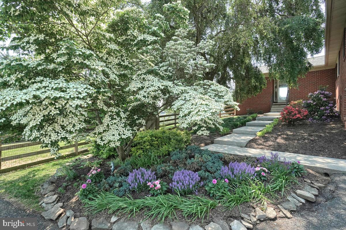 MIDDLETOWN - Residential