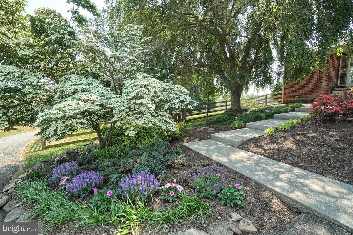 MIDDLETOWN - Residential