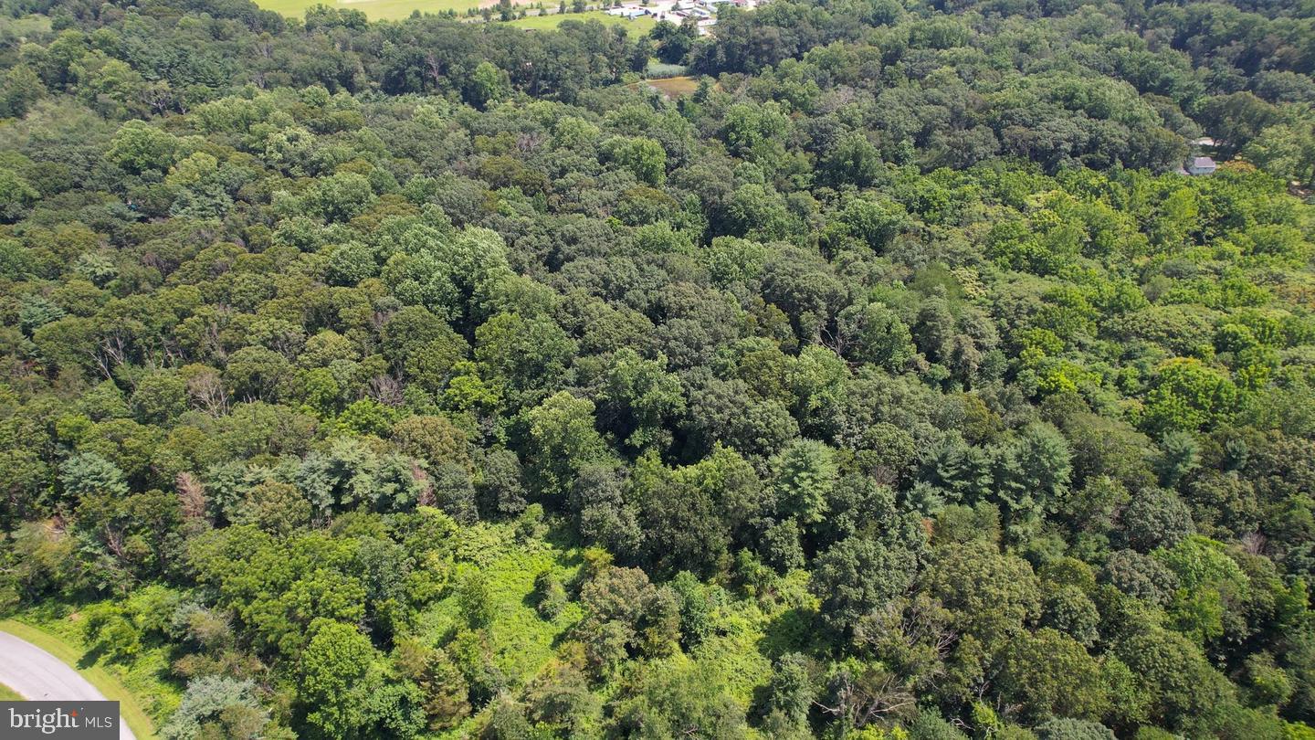 0 BIRCH LANE