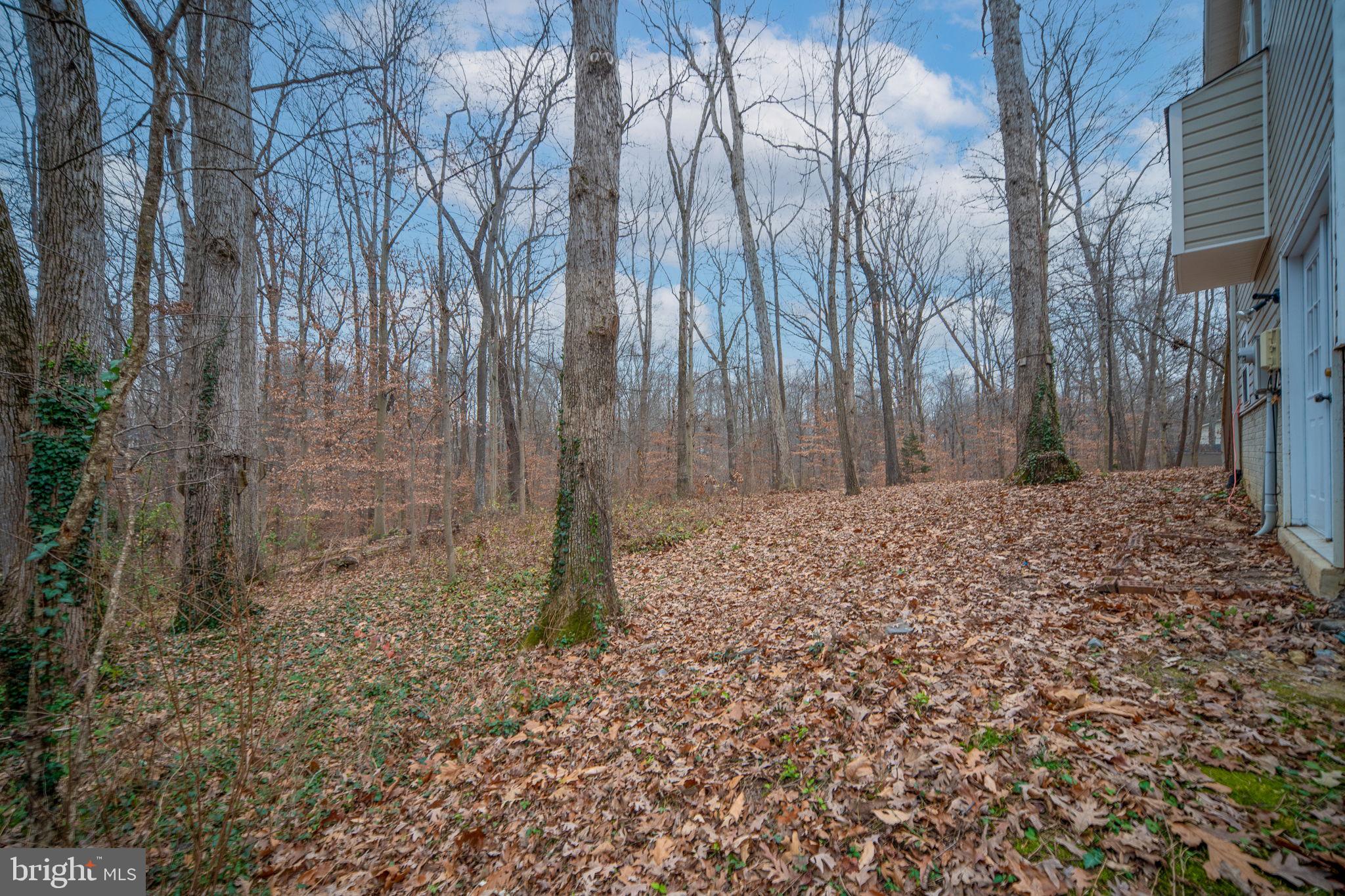 BLYTHEDALE - Residential