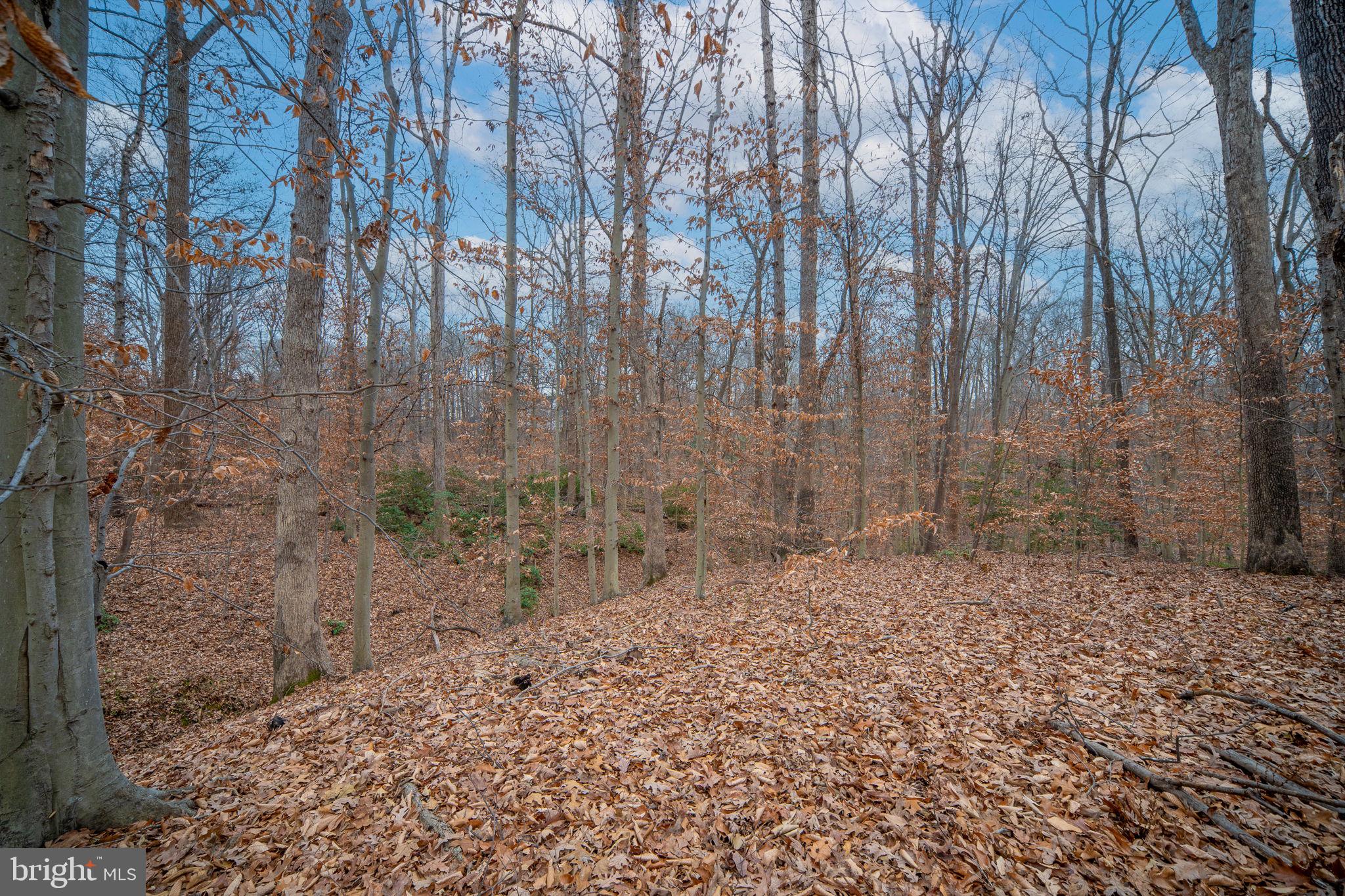 BLYTHEDALE - Residential