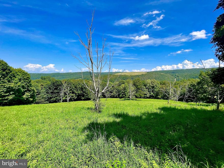 4 +/- acres in close proximity to Jennings Randolph Lake. With 5 +/- minutes to Jennings Randolph Lake, enjoy this beautiful, open, and fleshly cut meadow surrounded by trees with gorgeous views of the the West Virginia mountains. Build your dream home or use as your weekend getaway. Road frontage on the east and west sides of the property make for easy access to the Lake. Enjoy easy access to fishing, boating, swimming, and hunting all within a few minutes. Electric available on site. 14 miles to Keyser, WV. 20 +/- miles to Deep Creek Lake. 30 +/- miles to Cumberland, MD. 70 +/- miles to Winchester, VA.