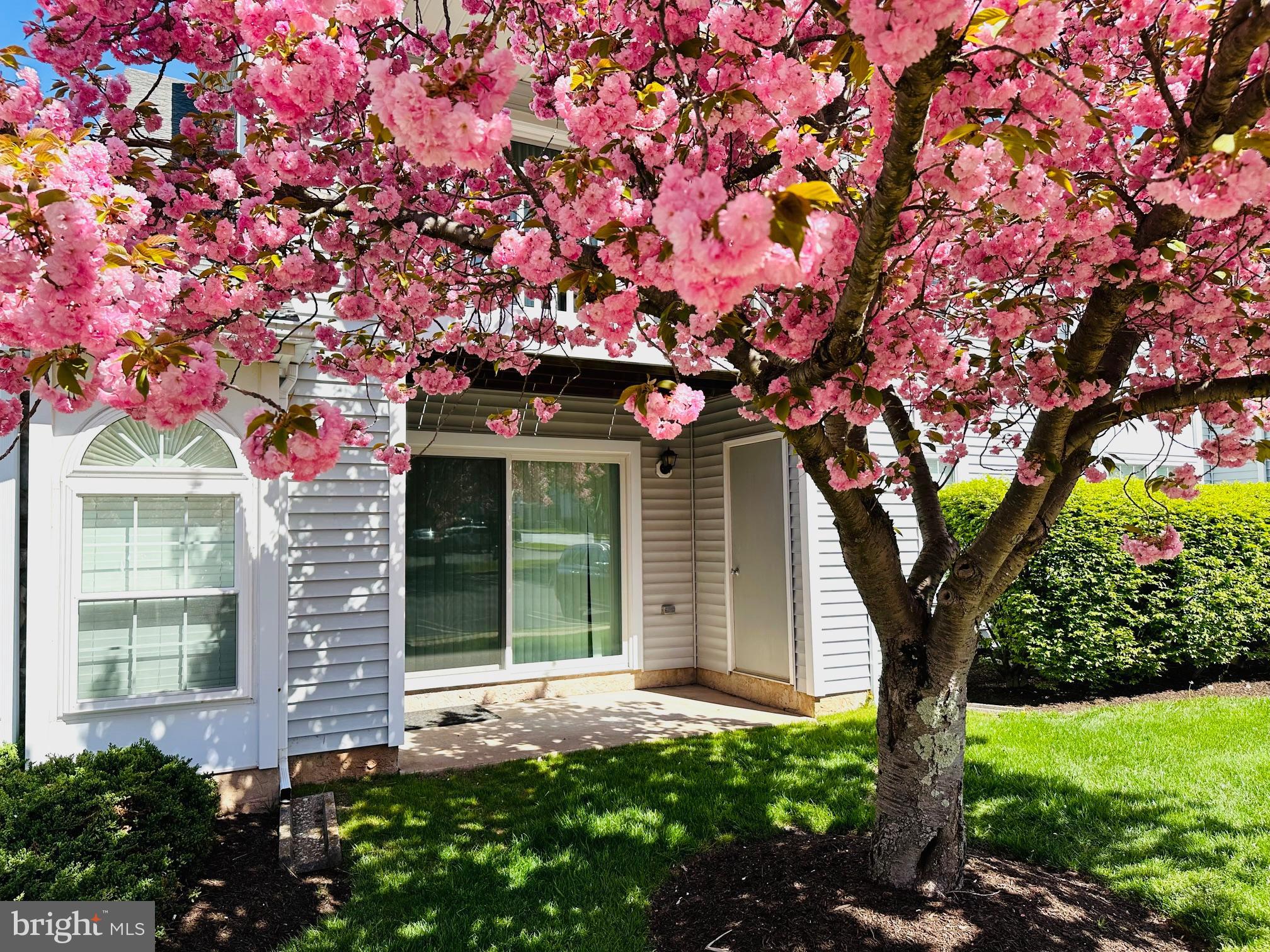 WYCKFORD COMMONS - Residential