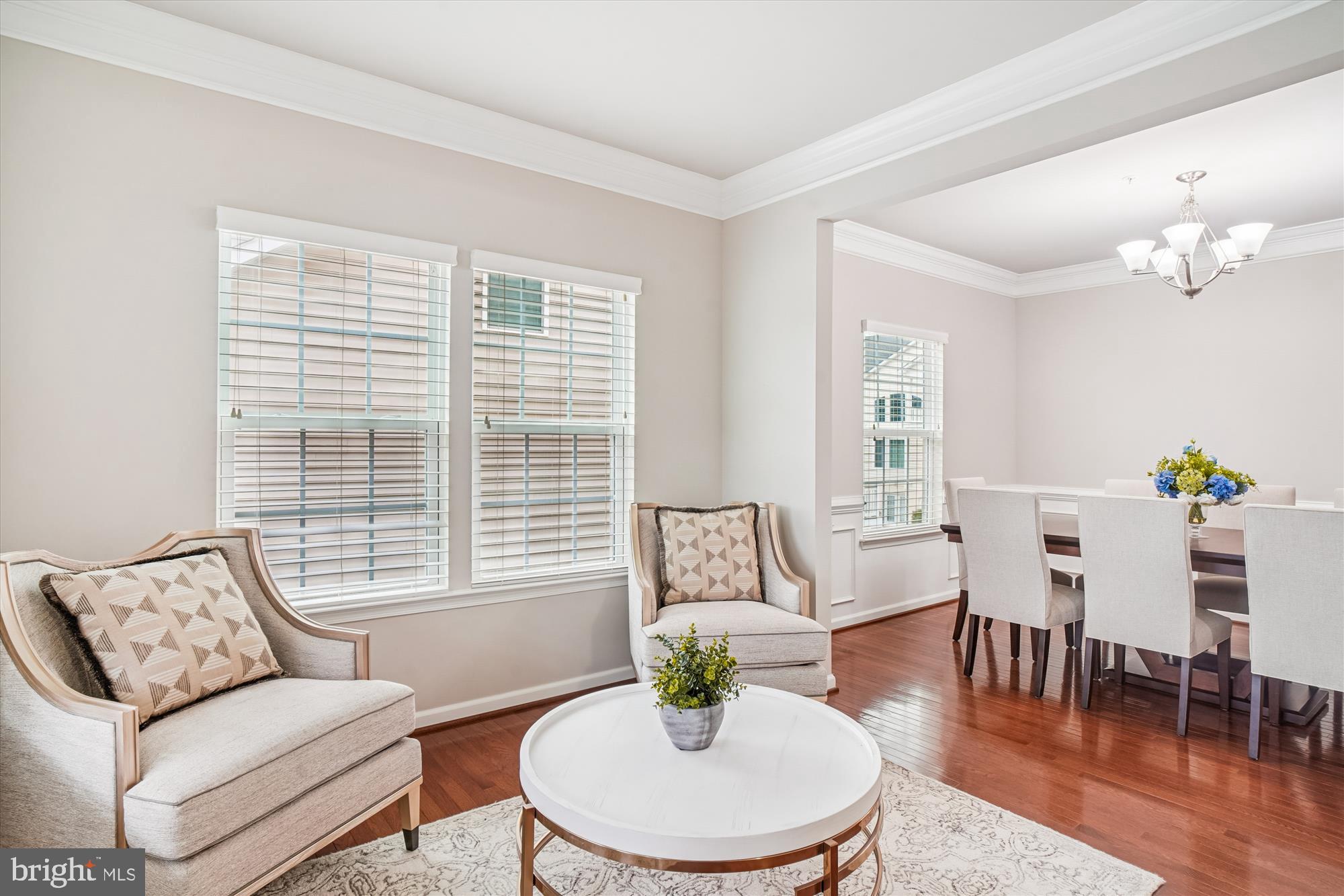 CLARKSBURG VILLAGE - Residential