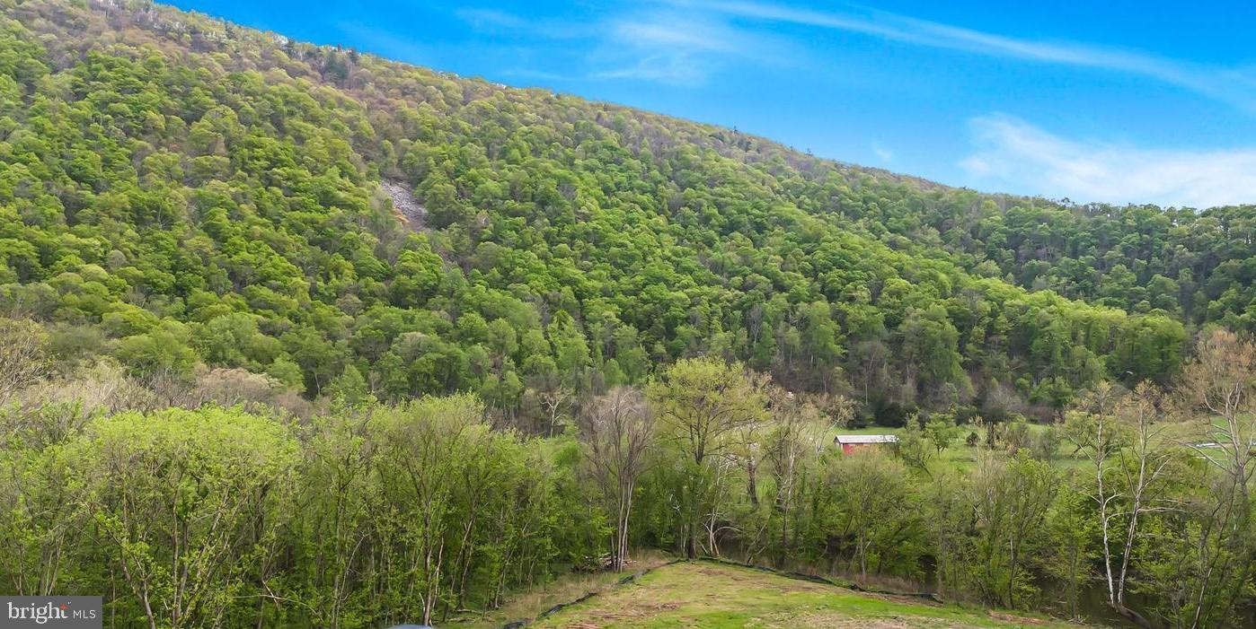Lot 14 BLACK BEAR ROAD