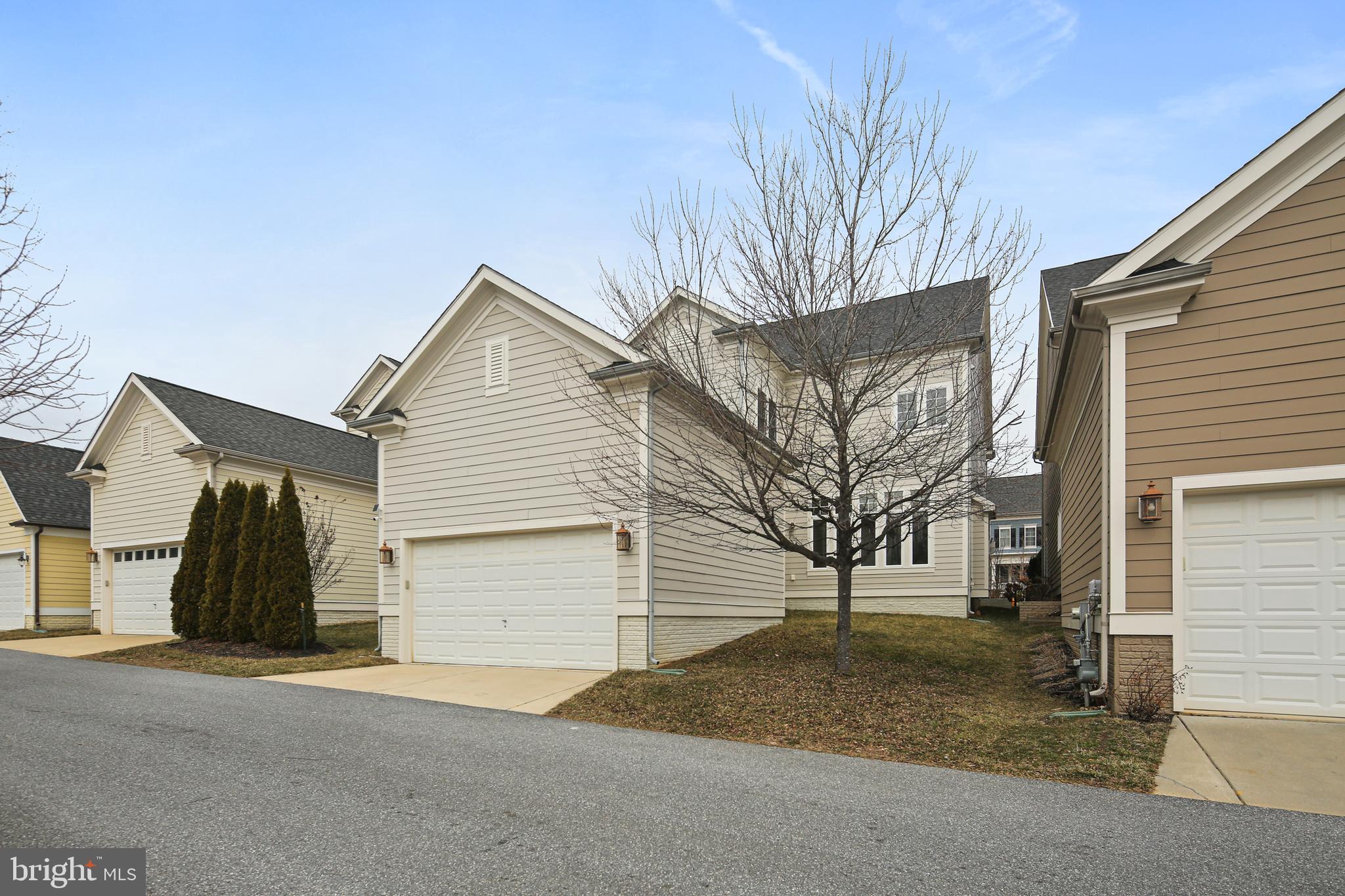 MAPLE LAWN - Residential