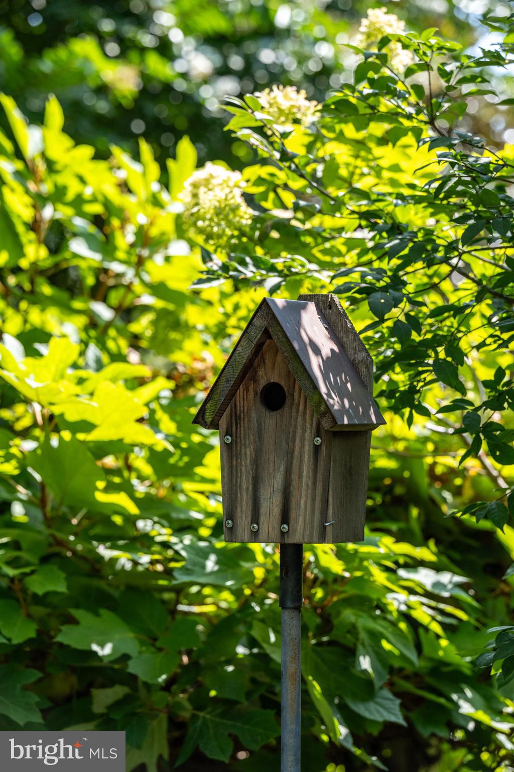 MURRAY HILL - Residential