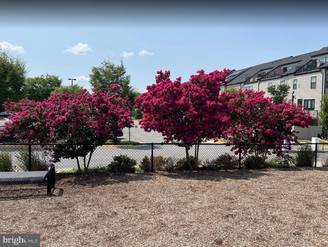 ISABELLA AT MONTICELLO MEWS - Residential