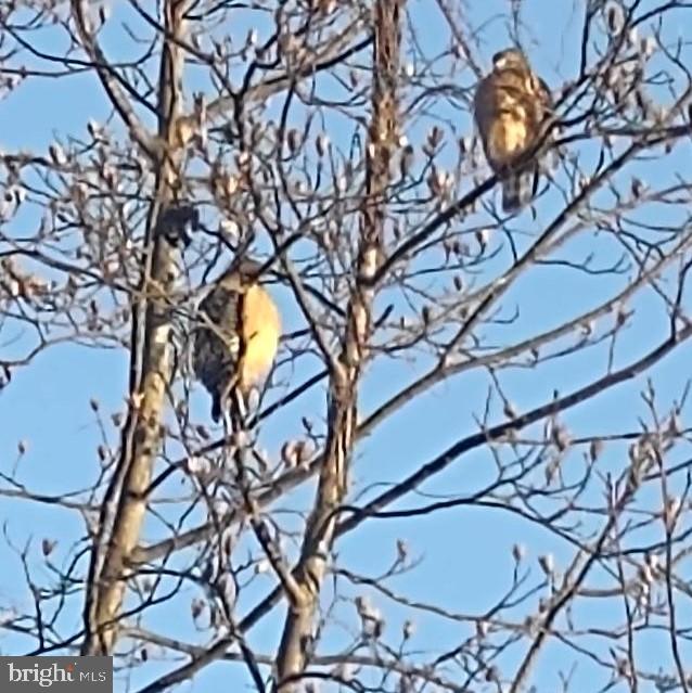 LOWES ISLAND - Residential