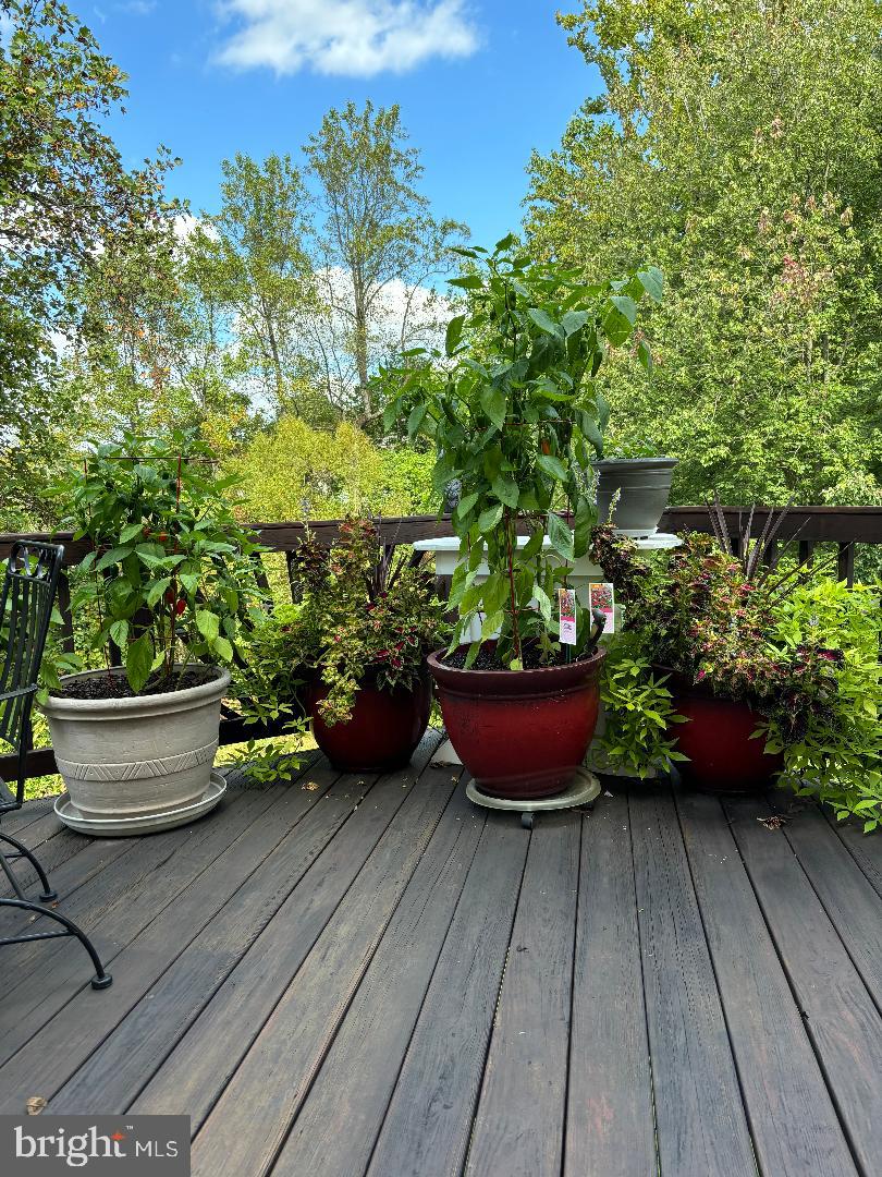 LOWES ISLAND - Residential