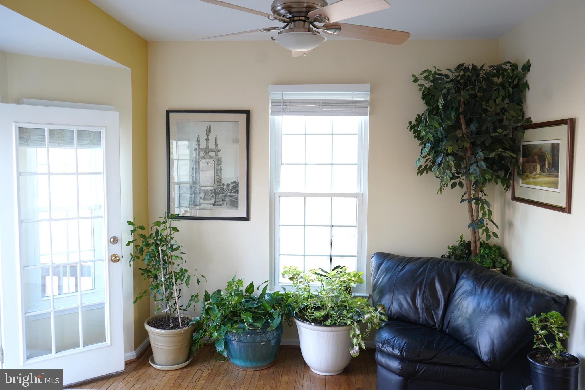 LOWES ISLAND - Residential