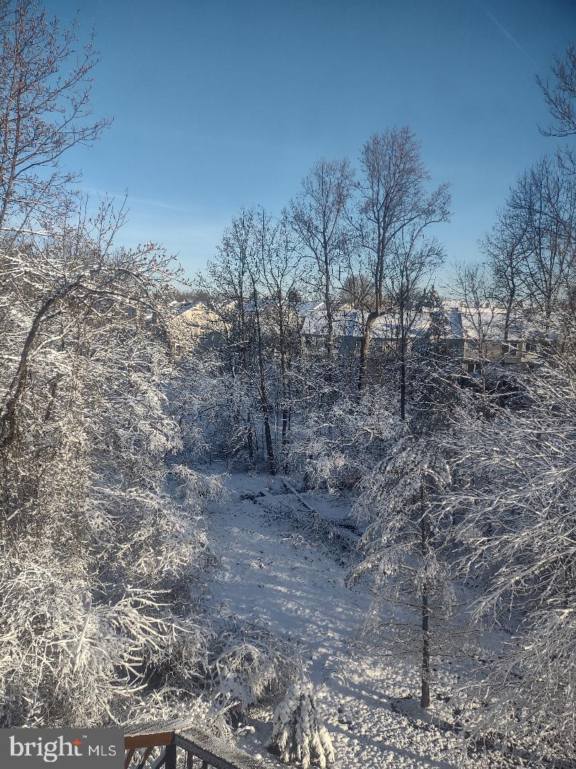 LOWES ISLAND - Residential
