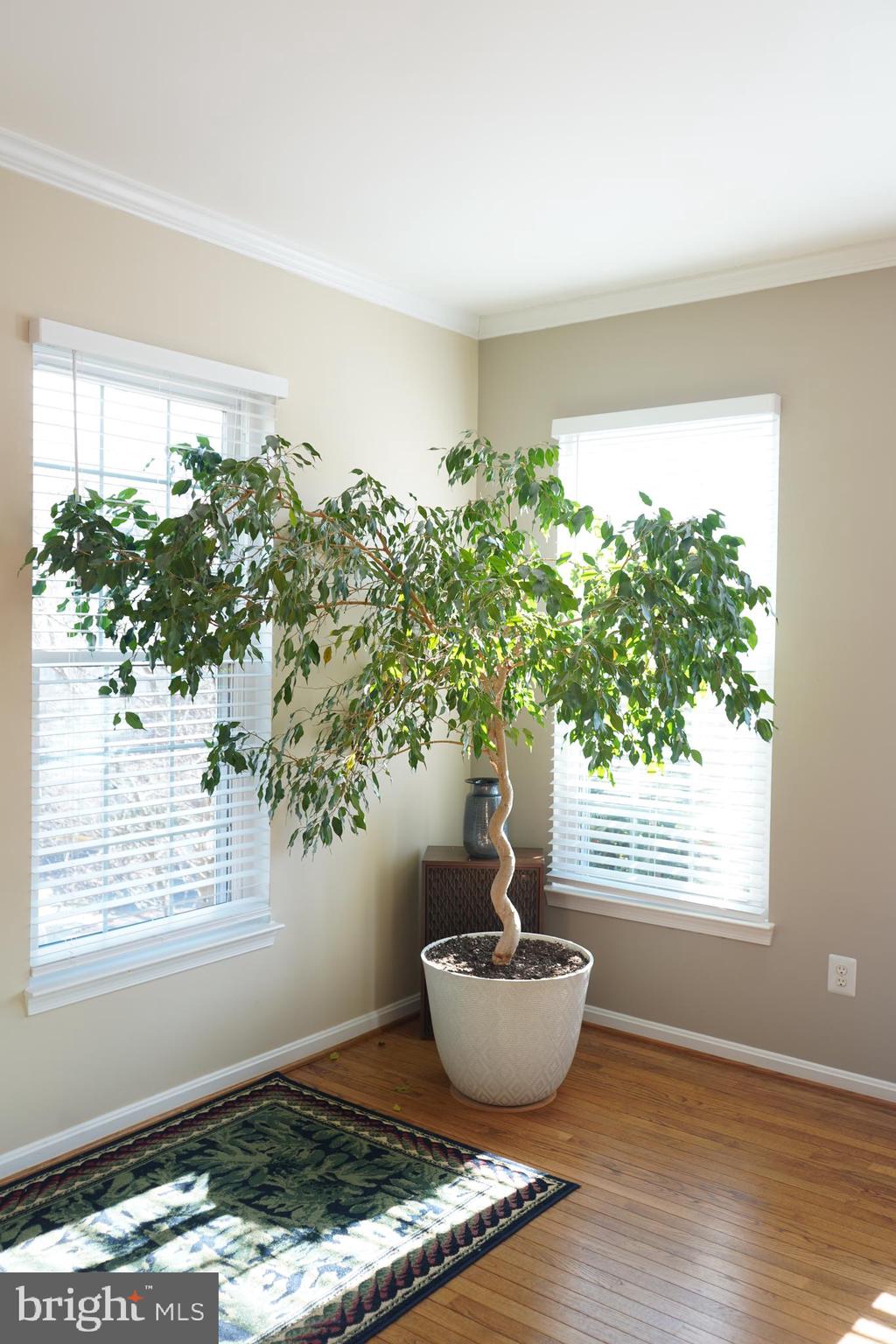 LOWES ISLAND - Residential