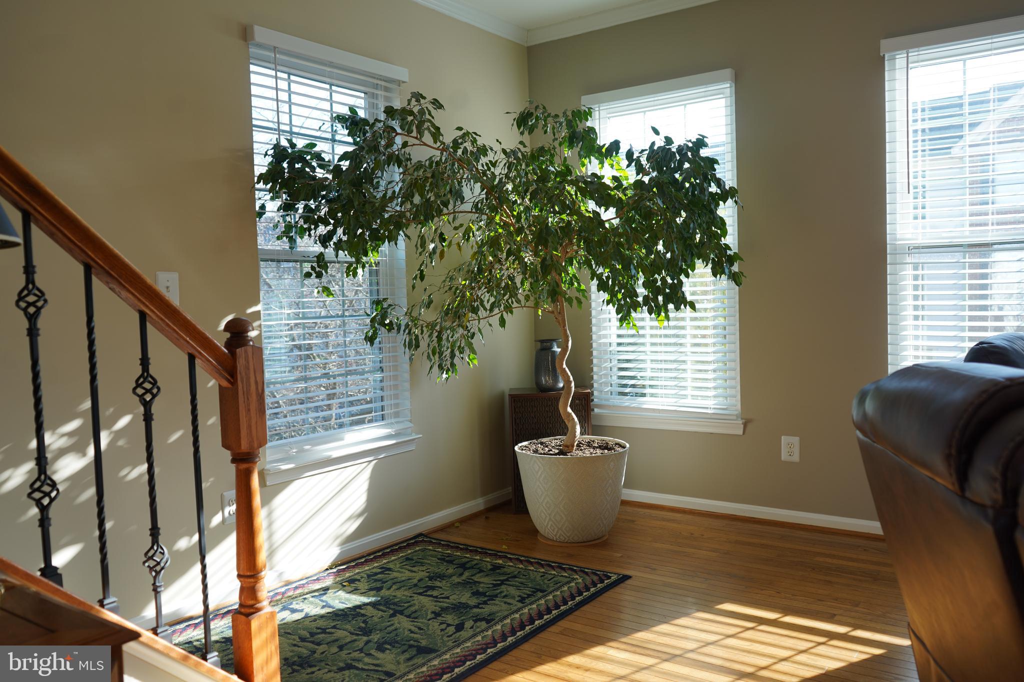 LOWES ISLAND - Residential