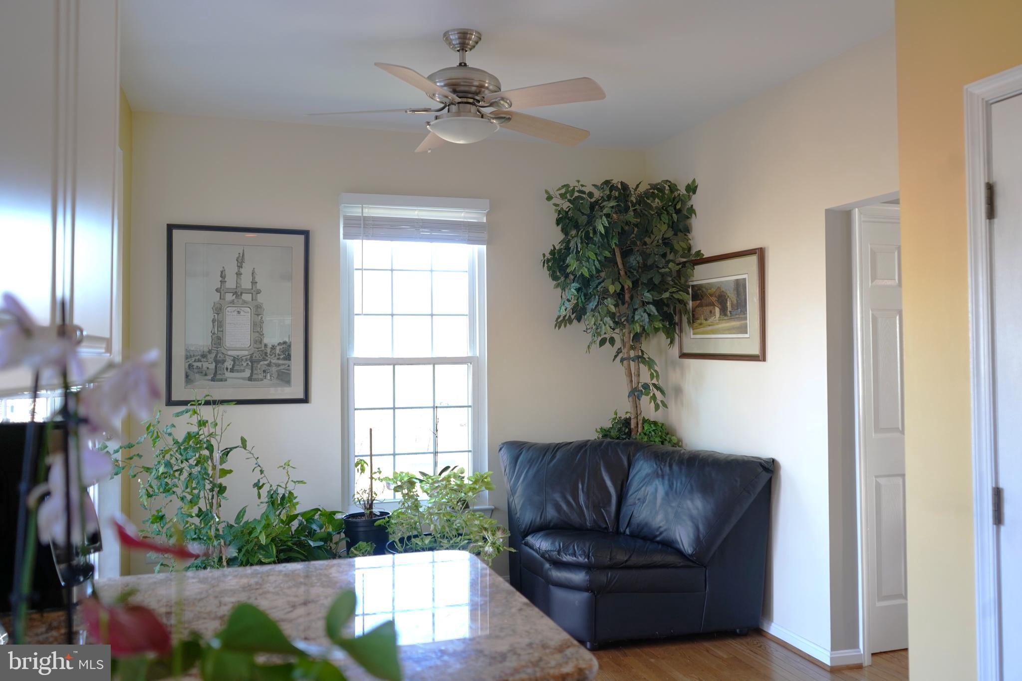 LOWES ISLAND - Residential