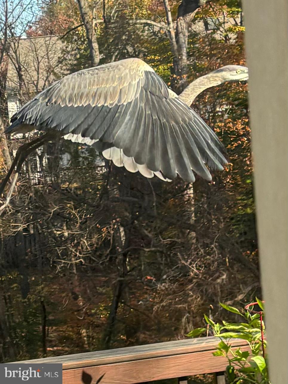 LOWES ISLAND - Residential